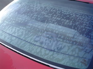 Have Rear Window Tint Removed And Replaced