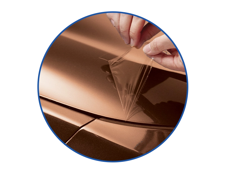 PPF_Thumbnail-Mobile-768x600